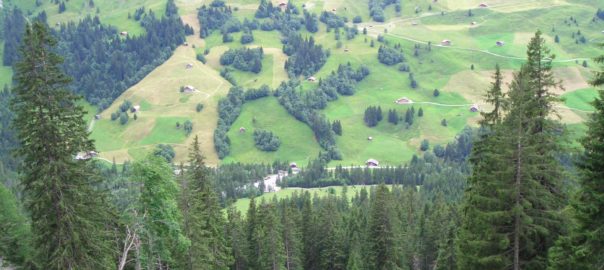 Folklore auf einer Alm